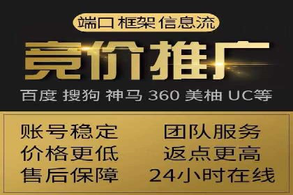 经典案例：SEM代运营服务公司的成功之路